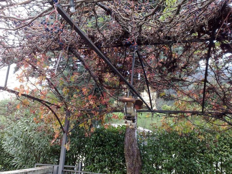 Villa Soleil Colleretto Giacosa المظهر الخارجي الصورة